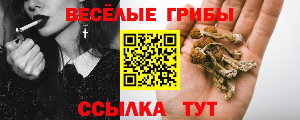 Галлюциногенные грибы мицелий Донецк